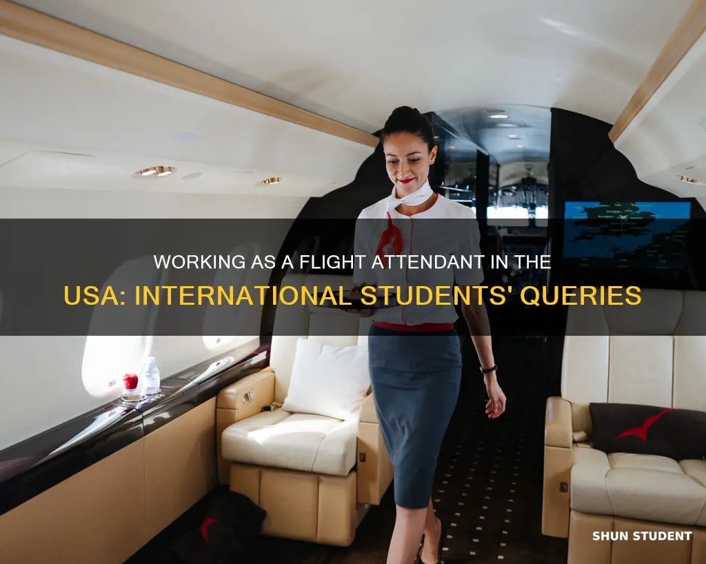 can international students work as flight attendant in usa