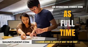 Working Full-Time: Options for International Students
