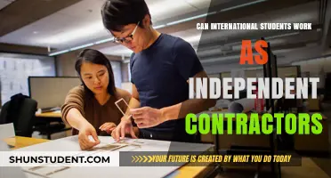 International Students: Freelancing Options and Opportunities
