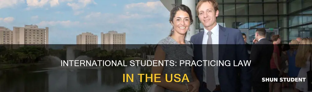 can international students work as lawyers in usa