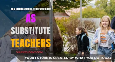 Working as Substitute Teachers: Options for International Students