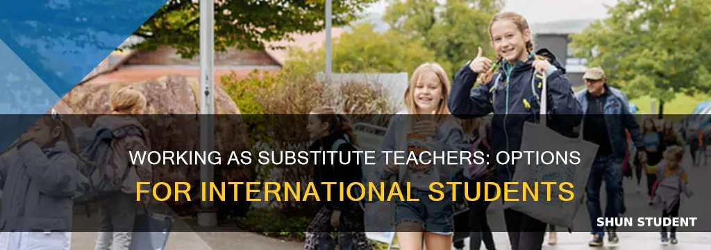 can international students work as substitute teachers