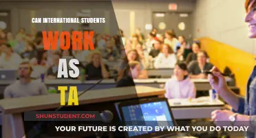 Working as a TA: Options for International Students