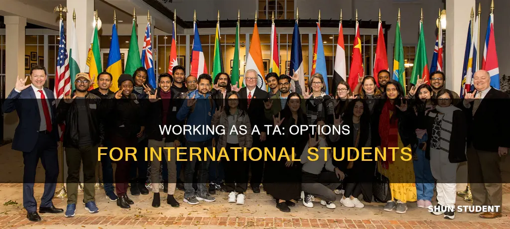 can international students work as ta