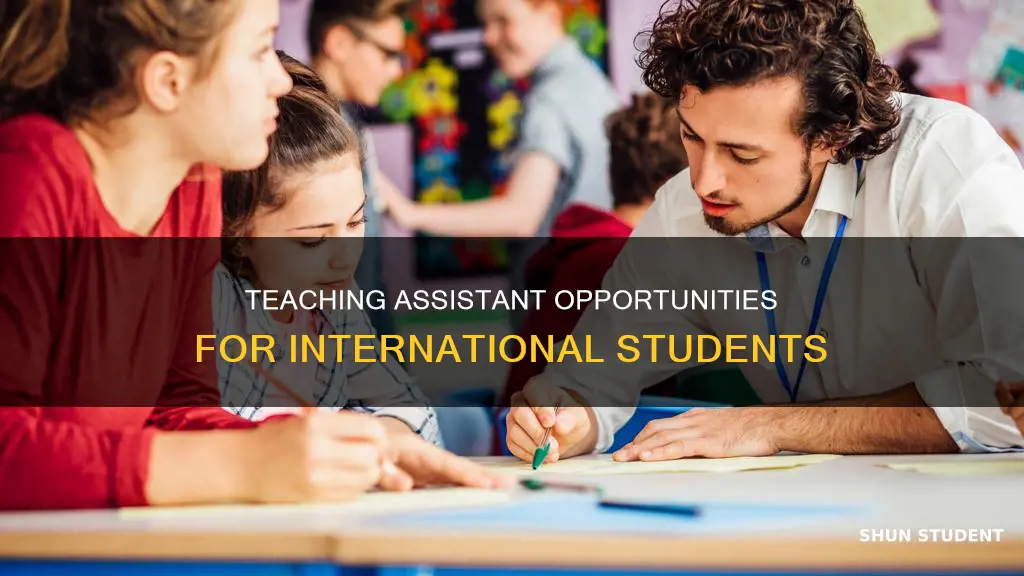 can international students work as teaching assistants