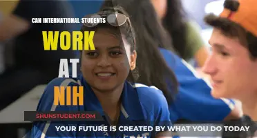 Working at NIH: Opportunities for International Students