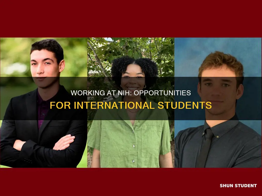 can international students work at nih