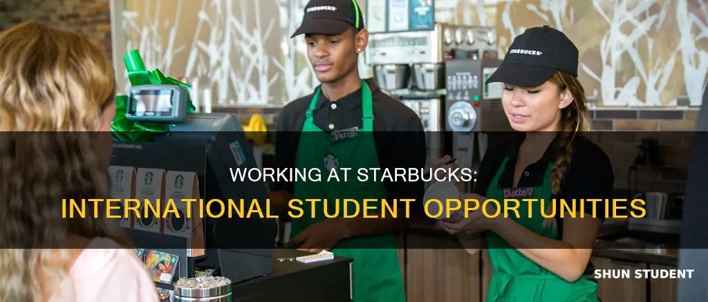 can international students work at starbucks