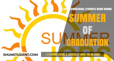 Working Options for International Students Post-Graduation