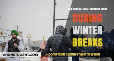 Winter Work Breaks: International Students' Rights Explained