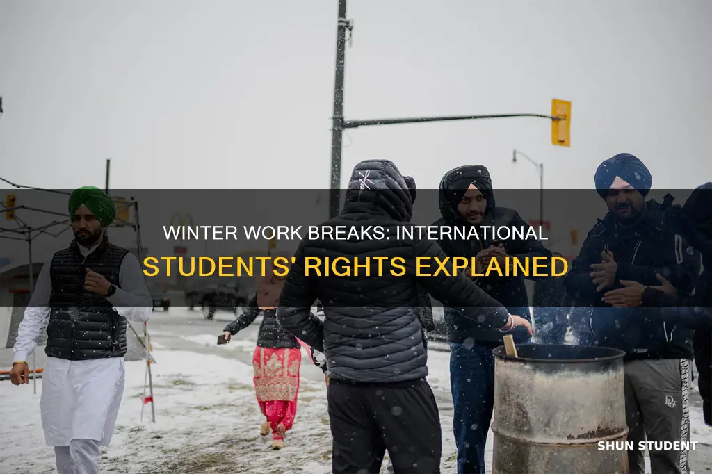 can international students work during winter breaks