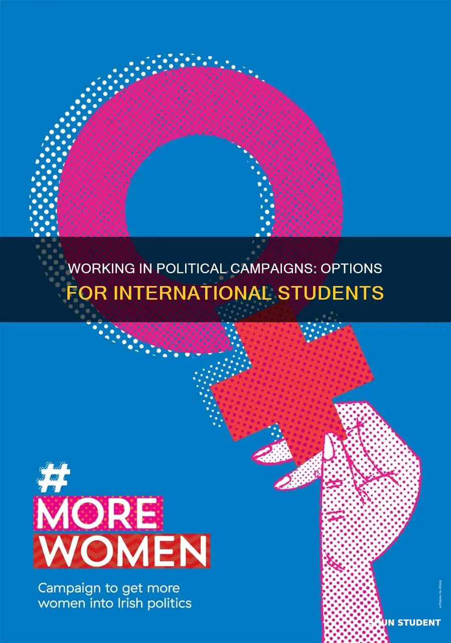 can international students work for a political campaign