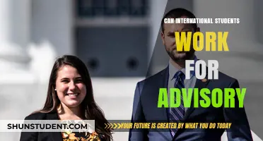 Advisory Work: Opportunities for International Students