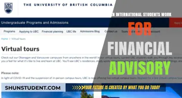 Working in Financial Advisory: International Students' Options