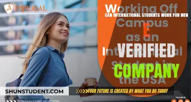 Working for Non E-Verified Companies: Options for International Students
