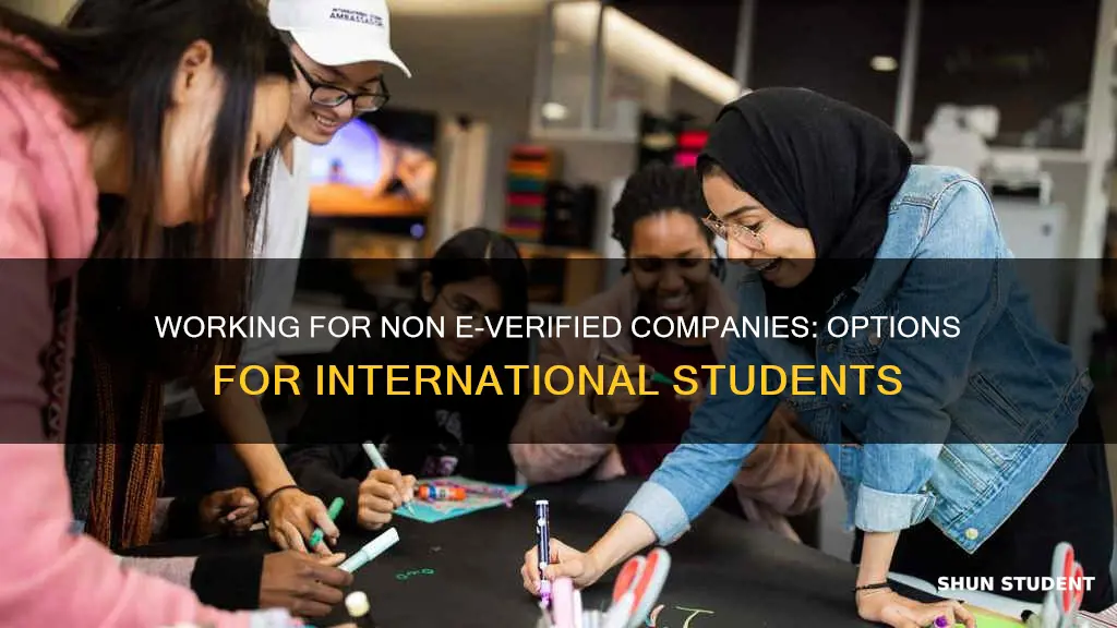 can international students work for non e verified company