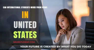 Working from Home: International Students in the US