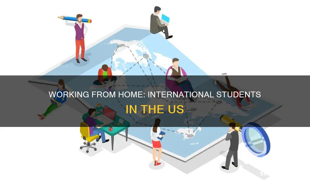 can international students work from home in united states