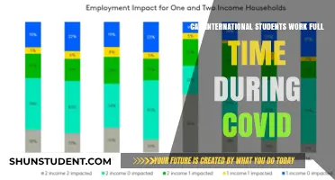 International Students: Full-Time Work Rights During COVID