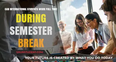 Full-Time Work Options for International Students During Breaks