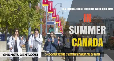 International Students: Full-Time Work in Canada Summers?