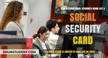 International Students: Work and Social Security Cards