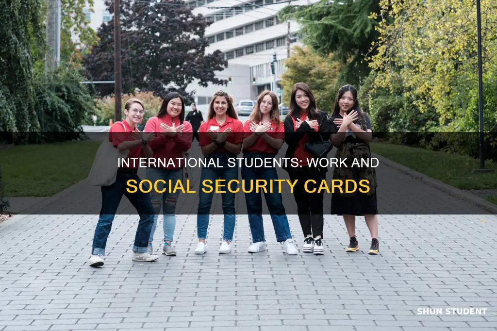 can international students work get a social security card