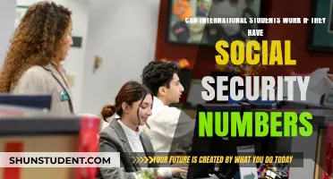 Working International Students: Social Security and Employment