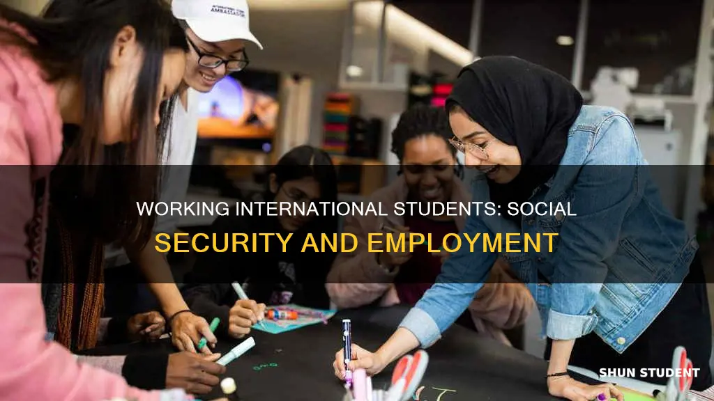 can international students work if they have social security numbers
