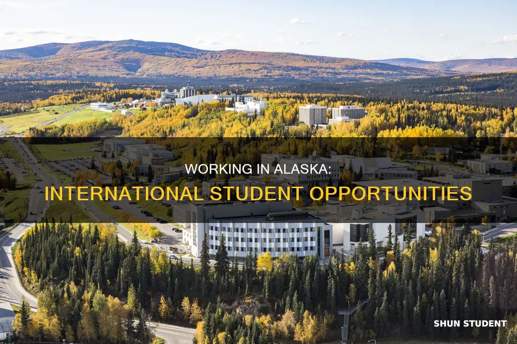 can international students work in alaska