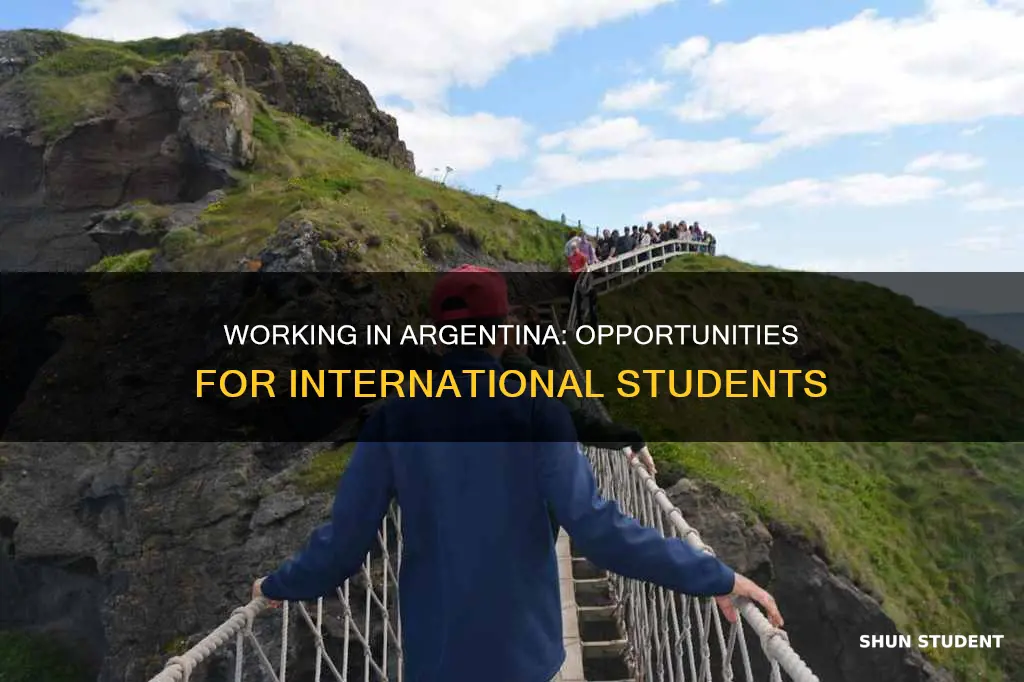 can international students work in argentina