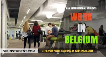 Working in Belgium: Opportunities for International Students