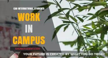 Working on Campus: International Students' Guide