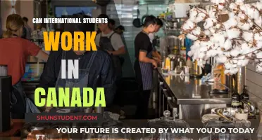 Working in Canada: Opportunities for International Students