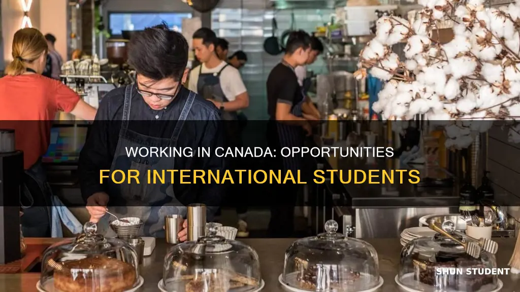 can international students work in canada
