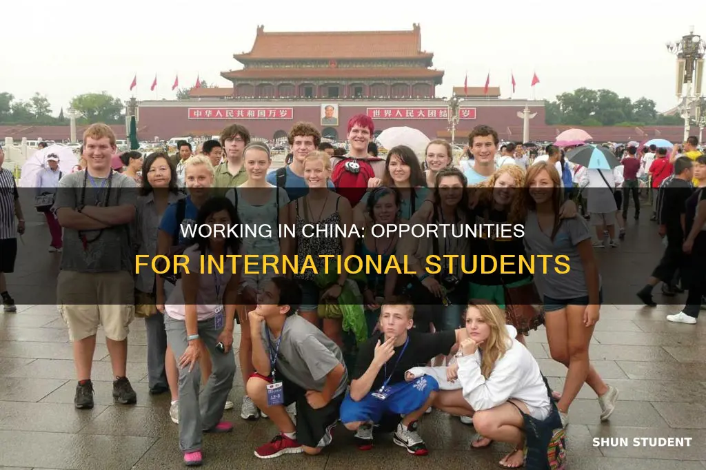 can international students work in china