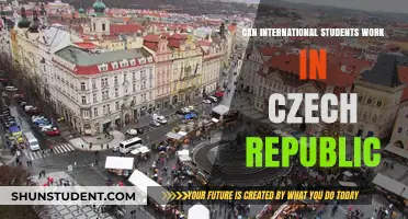 Work Options for International Students in the Czech Republic