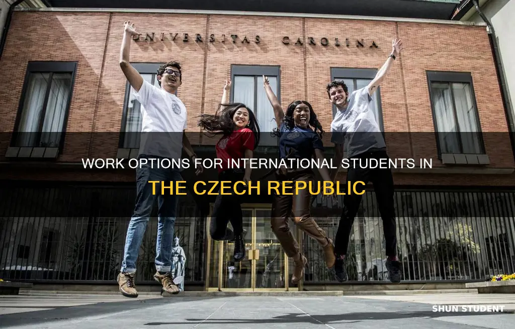 can international students work in czech republic