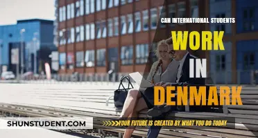 Working in Denmark as an International Student