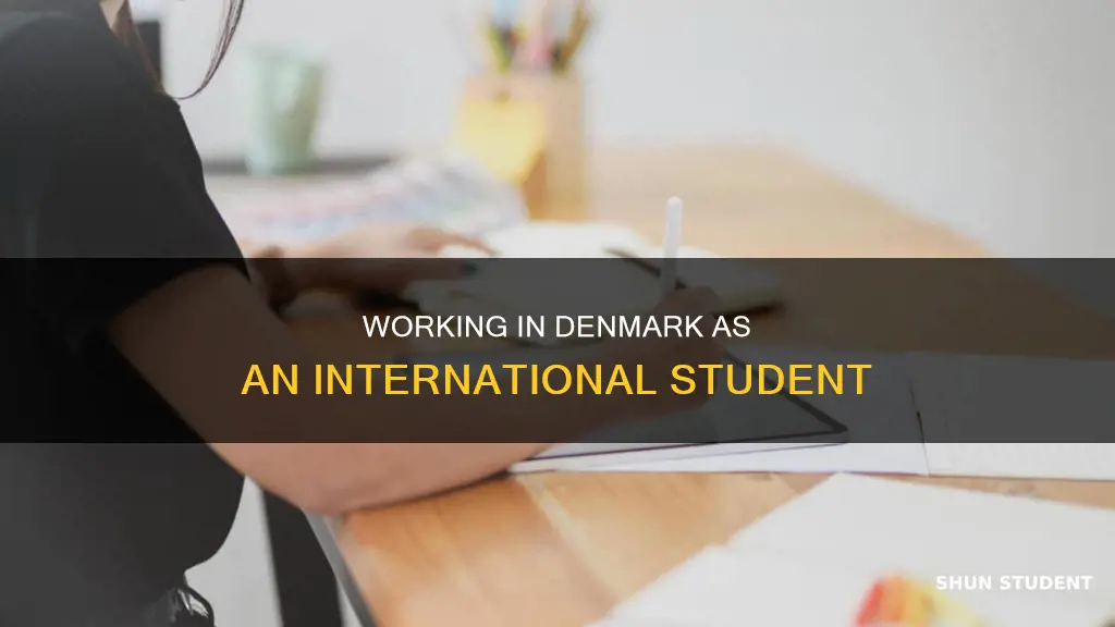 can international students work in denmark
