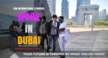 Work in Dubai: International Students' Guide