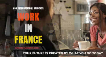 Working in France: International Students' Opportunities