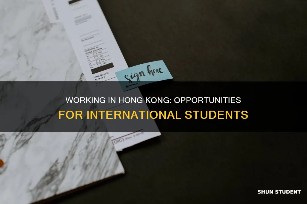 can international students work in hong kong