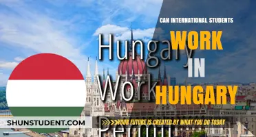 Working in Hungary: Opportunities for International Students
