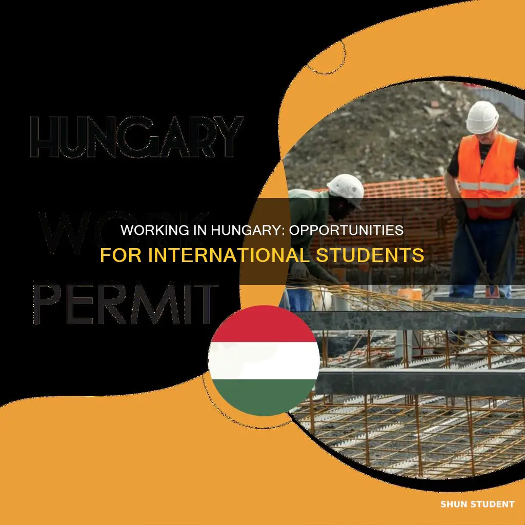 can international students work in hungary