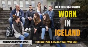 Working in Iceland: Opportunities for International Students
