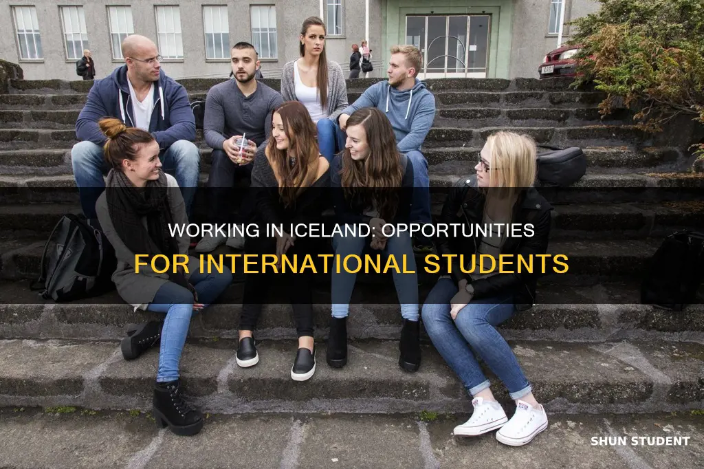 can international students work in iceland