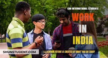 Working in India: International Students' Guide