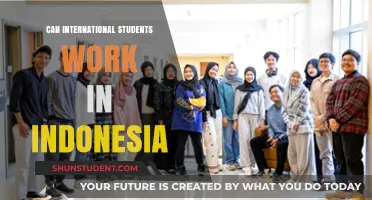 Working in Indonesia: Opportunities for International Students