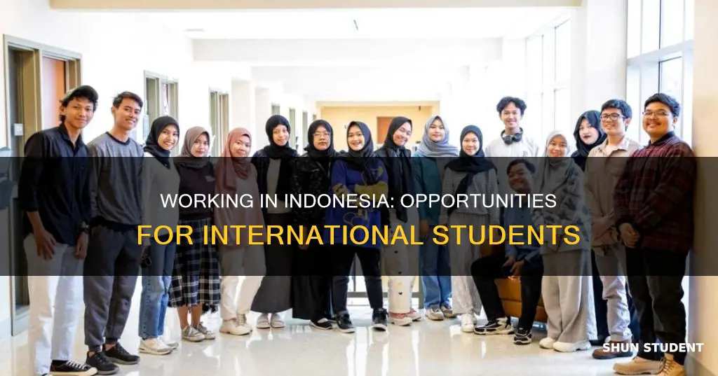 can international students work in indonesia